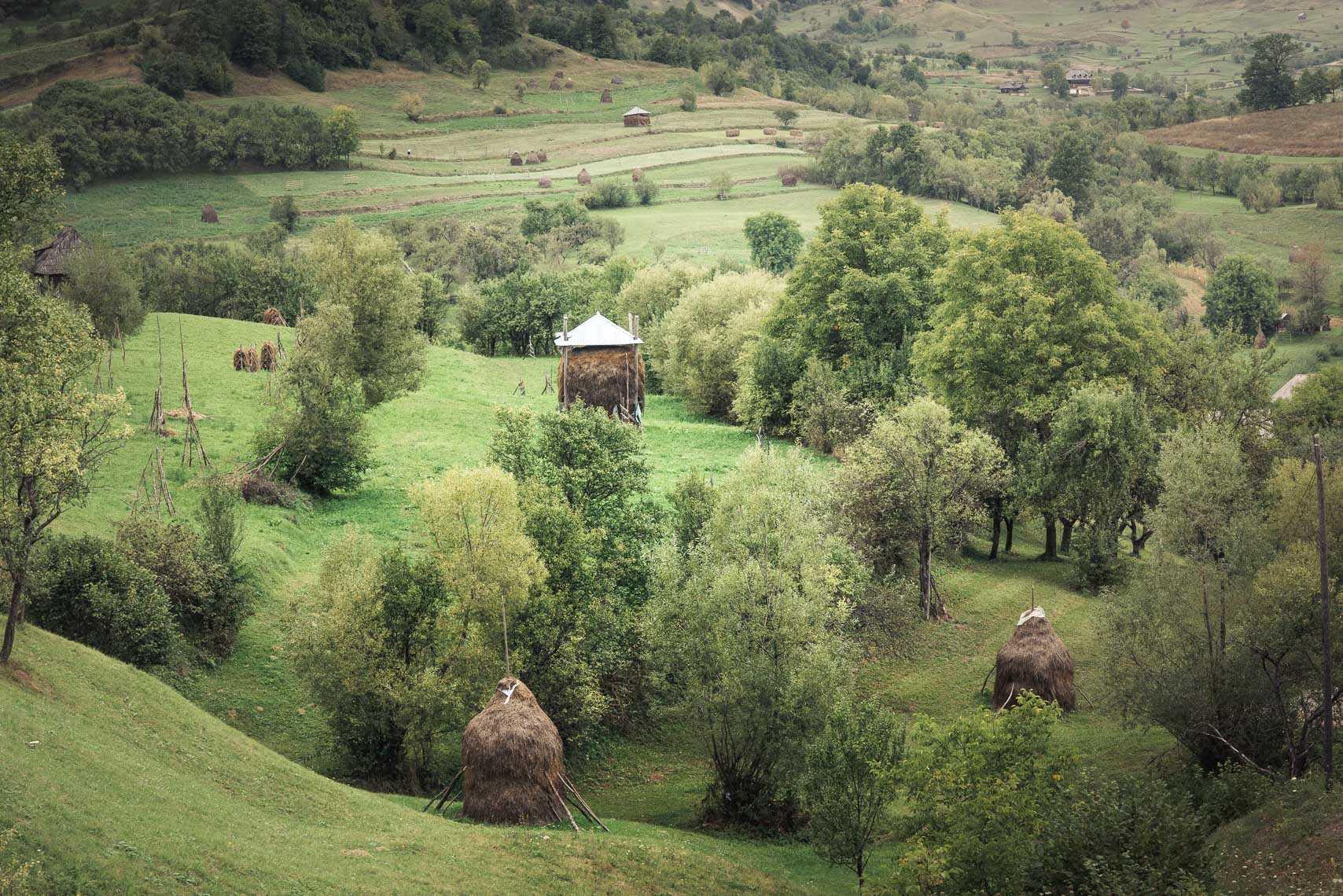 SallyThomsonRomania-5137
